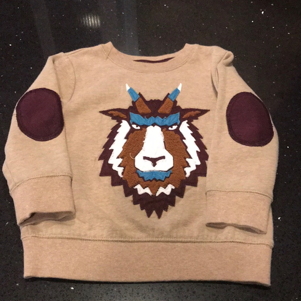 Cat & Jack toddler sweater